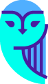 safty icon